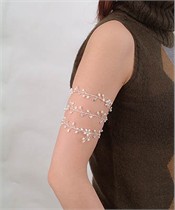 ARM LACE