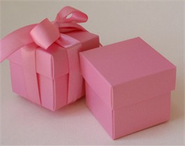 Carnation Pink Favor Boxes With Ribbon - Set of 10