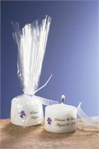 Blue Verbena Mini Candle Favor