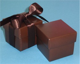 Chocolate Brown Favor Boxes With Ribbon - Set of 10
