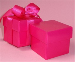 Fuchsia Wedding Favor Boxes With Ribbon - Set of 10