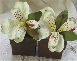 Ivory Lily Wedding Favor Boxes - Set of 10