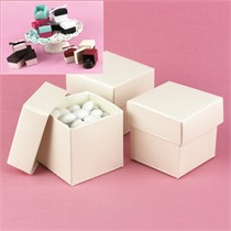 Ivory Shimmer Mix and Match Favor Boxes - Package of 25