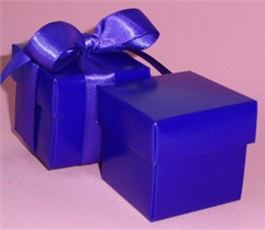 Violet Favor Boxes With Ribbon - Set of 10